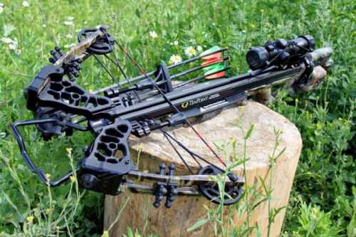 Homemade Crossbow