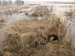 Охотничьи засидки для охоты на гуся и уток: виды и инструкции по строительству