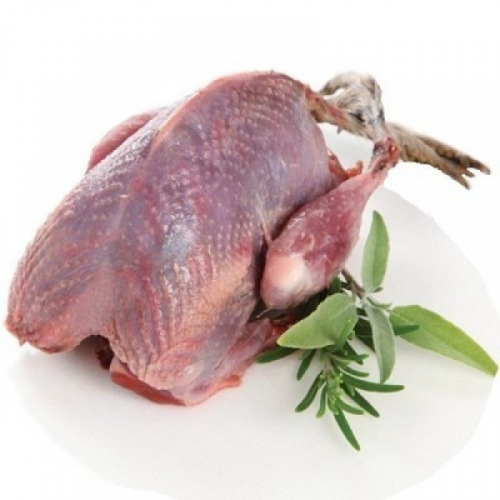 Куропатка тушка. Куропатка тушка. Куропатка тушка. Куропатка тушка. Куропатка тушка.