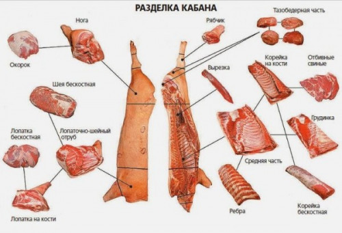 как приготовить кабанятину