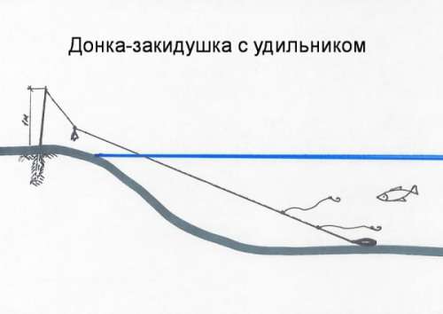 рыболовные снасти на карпа