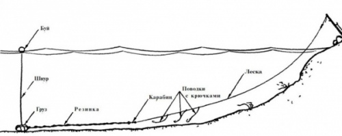 снасти для ловли карпа