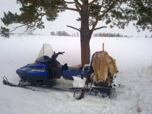 лучший снегоход